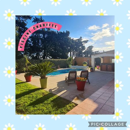 Villa Flamenca - Piscine Chauffee Châteaurenard Екстериор снимка